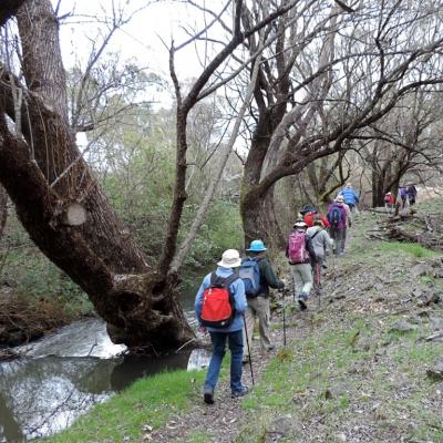 Hume and Hovell Track, September 2017