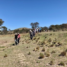 Aranda Bushland Nature Reserve, 31 October 2018