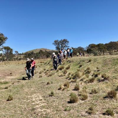 Aranda Bushland Nature Reserve 31 October 2018 Singleton