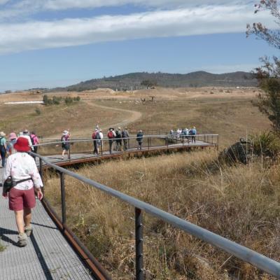Coombs to the Molonglo River - A Woodland Track, 11 April 2018