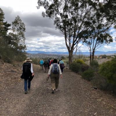 between Mt Sheaffe and Mt Mugga Mugga 26 September 2018 Singleton