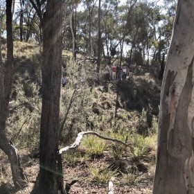 Bushland Nature Walk at the Australian National Botanic Gardens, 3 March 2019