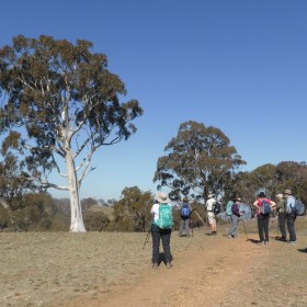Canberra Centenary Trail northern border, 16 May 2019
