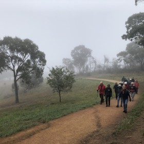 Mt Rogers, 14 August 2019