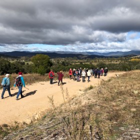Stromlo Forest Park, 8 May 2019