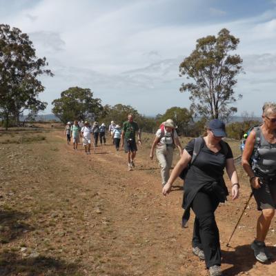 Majura Saddle and Mt Ainslie 28 March 2019 Welsh