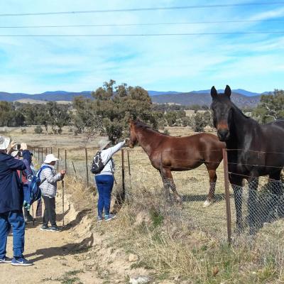 Narrabundah Hill 10 September 2019 McCaskill