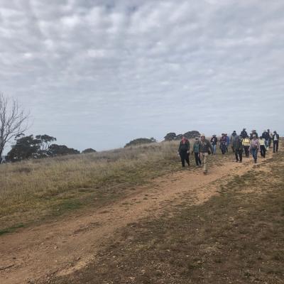 Ngunnawal Hill Reserve 18 August 2019 Singleton IMG 6135