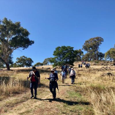 Pinnacle Nature Reserve 27 March 2019 Singleton IMG 3329