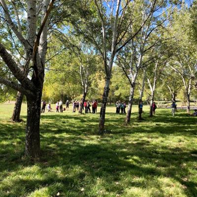 Rest stop at Palmerville 12 April 2019 Singleton IMG 3479