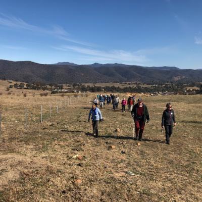 Urambi Hills 7 August 2019 Singleton IMG 6087