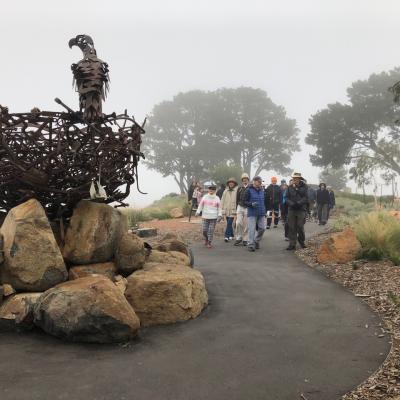foggy morning at the Arboretum 12 May 2019 Singleton IMG 3823