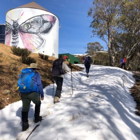 above Falls Creek on the AAWT, 20 October 2019
