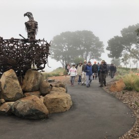 foggy morning at the Arboretum, 12 May 2019