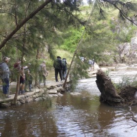 Molonglo River below Shepherds Lookout, 29 October 2021