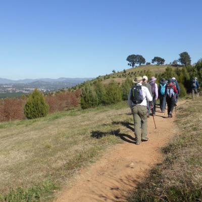 Coombs to the Arboretum LW 18 May 2021