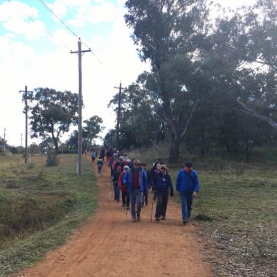 Mt.Ainslie Walk, 8 June 2021
