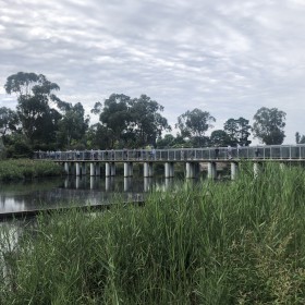Lyneham Wetland, 1 February 2022