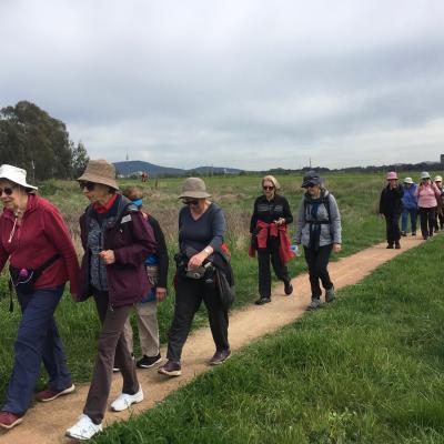 Jerrabomberra Wetlands 4 October 2022