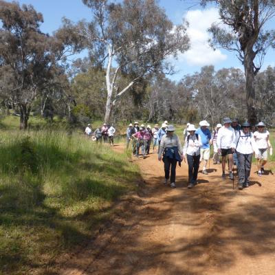 Mt Ainslie base 9 November 2022