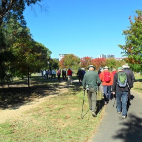 Lake Ginninderra, 16 April 2024