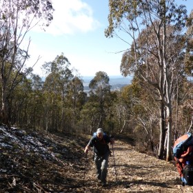 Spur No 3 Fire Trail to Camel Back Fire Trail, 28 July 2015