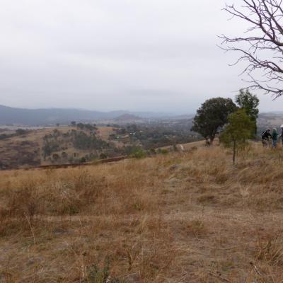 Wanniassa Hills, 3 April 2015