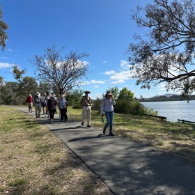 Black Mountain Peninsula, 19 December 2024