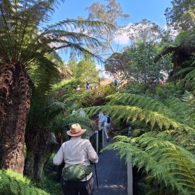 Botanic Gardens and CSIRO, 31 December 2024