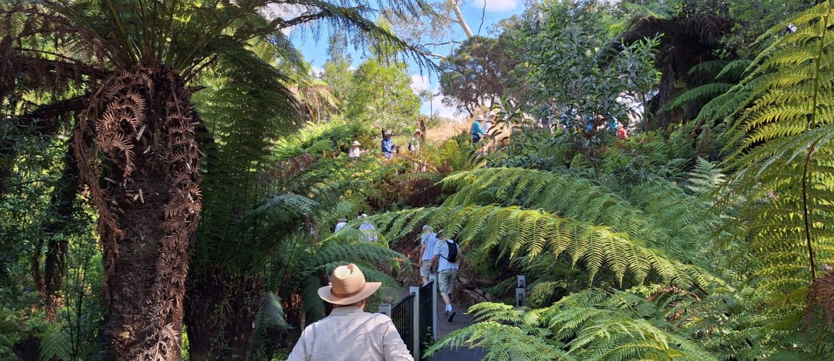 Botanic Gardens and CSIRO, 31 December 2024