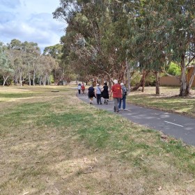 Chifley, Waramanga, Weston, base of Oakey Hill, 12 November 2024