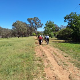 Curtin, 24 December 2024