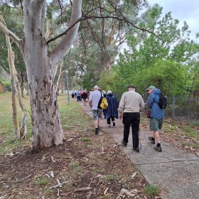 Kambah, 7 January 2025