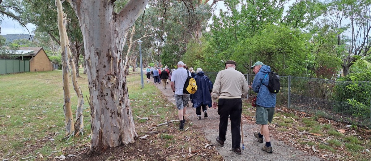 Kambah, 7 January 2025