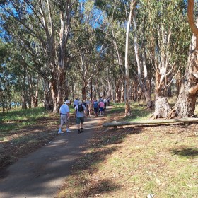 Lake Ginninderra, 4 February 2025