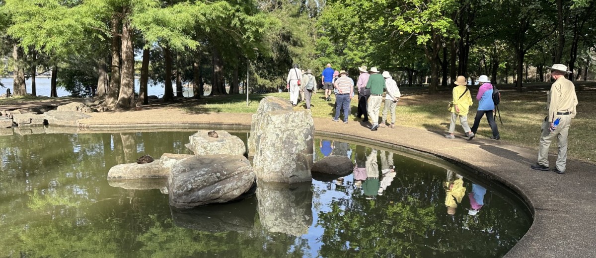 Lake Ginninderra, 9 January 2024