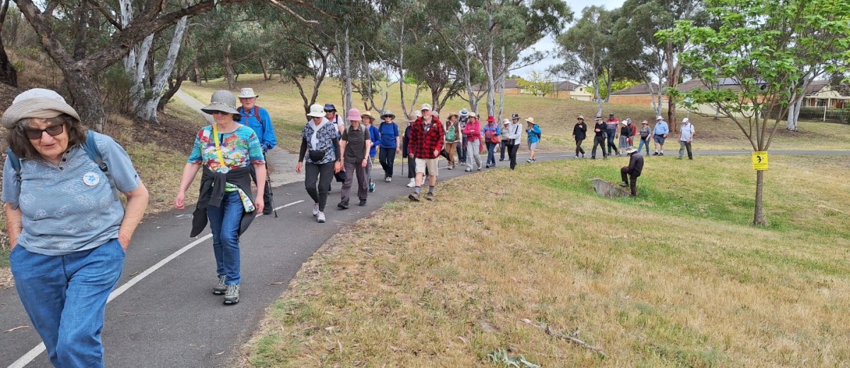 Lake Tuggeranong, 5 November 2024